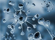 J9集团体内体表药效试验顺利通过药监局审查