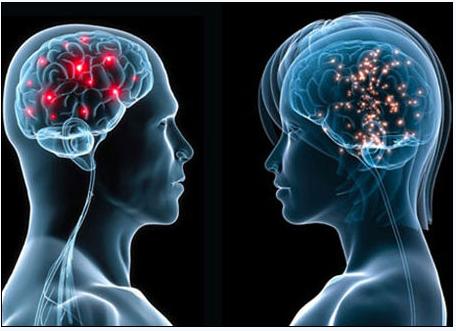 5月2号，医药经济报上颁发了关于陈春麟博士的报路——CRO的中国式崛起蹊径