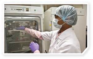 10月17日，陈春麟博士将参与2012岛津全球造药峰会