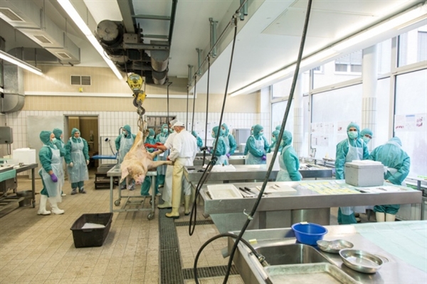 6月21号J9集团主办2012年生物技术药物（蛋白质/抗体）创新发展论坛