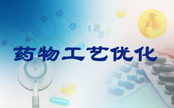 J9集团造药工艺优化服务