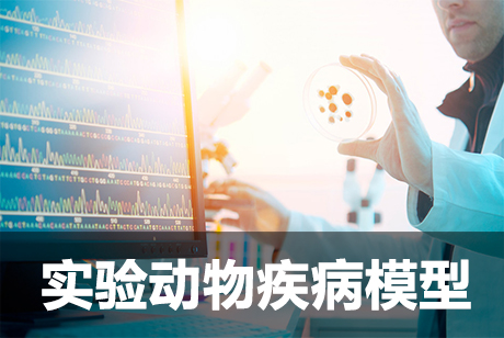 尝试动物疾病模型