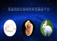 J9集团的生殖毒性钻研服务平台