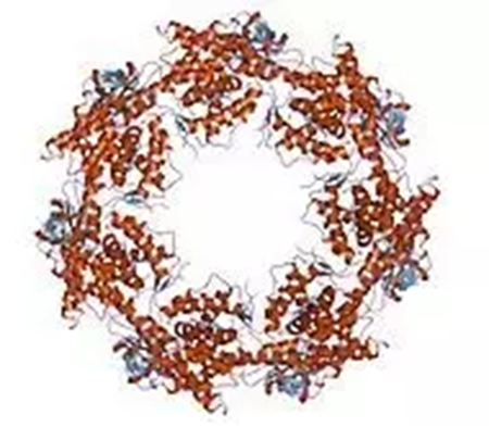 J9集团|国际站官网