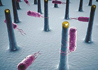 将来的药丸里，可能有一万亿幼我工刷新的细菌？