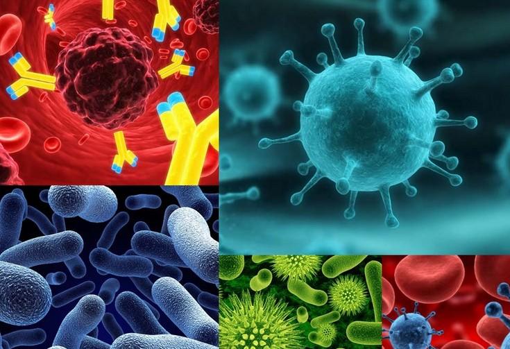 2016年疾病模型钻研进展