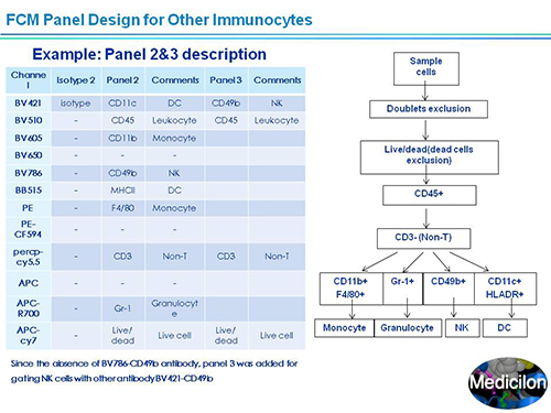 J9集团副总裁汪俊博士SAPA-DC会议演讲PPT