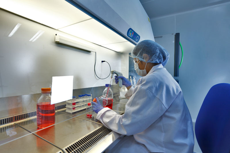 单种类用度或达千万？一致性评价还有这四大“坎”