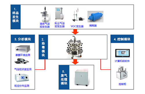 图2 幼动物口鼻吸入露出系统四大？ 
