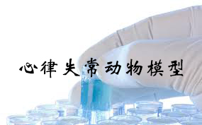 心律变态动物模型的成立