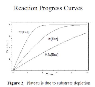 选取终点法可能得到不真实的初始快率