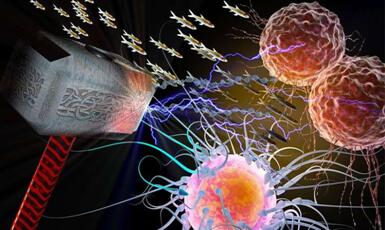 J9集团|国际站官网