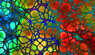 J9集团|国际站官网