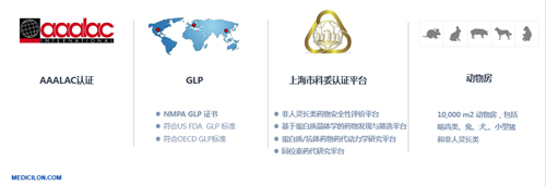 J9集团生物医药 临床前钻研