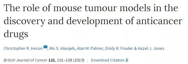 临床前幼鼠模型若何？