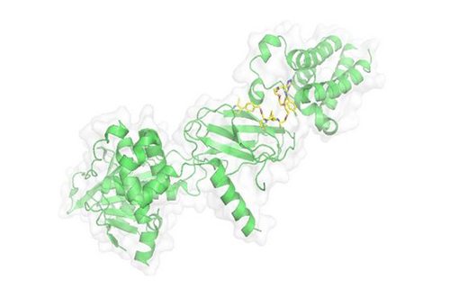 PROTAC技术，马兴泉
