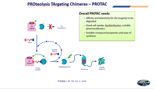 神奇的幼分子药物技术-PROTAC