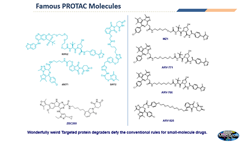 PROTAC钻研