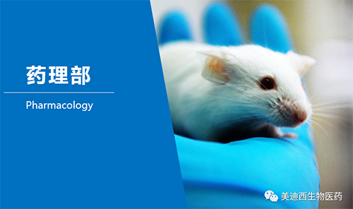 J9集团药理部开发了肺癌、结肠癌、胃癌等12种PDX模型。