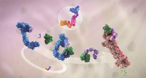 LYTAC出世，与PROTAC并肩作战针对不成成药的靶点