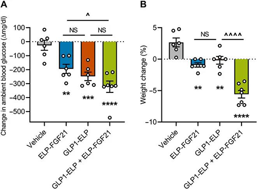 GLP-1和FGF21共同医治加强了单药医治的血糖降低和体沉增长抑造作用 J9集团