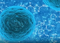 攻克三阴性乳腺癌，蜜蜂毒液竟是关键？