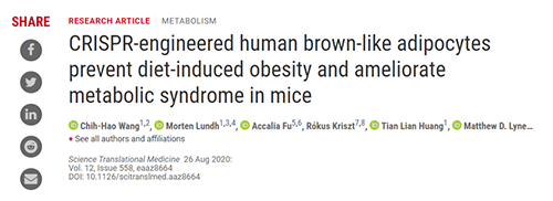 Science|聚焦CRISPR：刷新脂肪细胞，“躺瘦”可能要成真了？