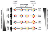 到底为什么ICB疗法在年轻女性肿瘤患者体内收效甚微？