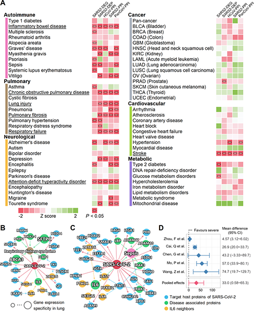 通过网络邻近性怀抱量化的与COVID-19有关的疾病阐发概况