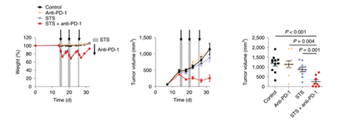 与对照组及仅使用PD-1疗法的模型幼鼠对比，选取短期饥饿共同PD-1疗法的393P细胞同源移植肿瘤幼鼠体内的肿瘤体积有了显著的收缩。