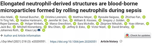 一种神秘颗粒被发现了 ！它能否成为败血症早筛标志物？