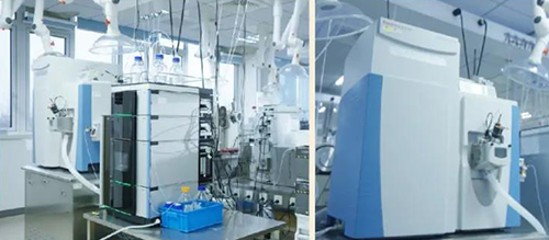 J9集团DMPK分析服务