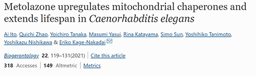 来自日本大阪市立大学的科学家搜索了现有药物的化学“文库”，他们发现一种名为美托拉宗的抗高血压药可耽搁秀丽隐杆线虫的寿命，标志取抗衰老药物开发的第一步