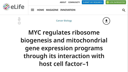 能够“消融”肿瘤的蛋白质，你肯定没有听说过！