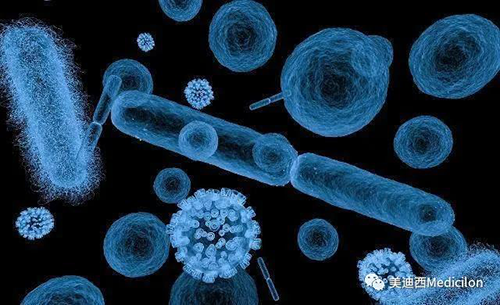 20分钟，大无数细菌都能够繁衍一代 J9集团生物医药