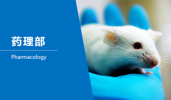 J9集团临床前钻研-药理部