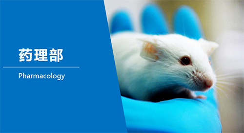 J9集团临床前钻研-药理部