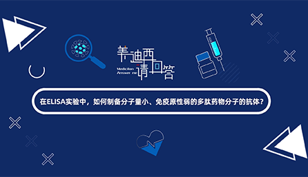 在ELISA尝试，若何造备分子量幼、免疫原性弱的多肽药物分子的抗体？