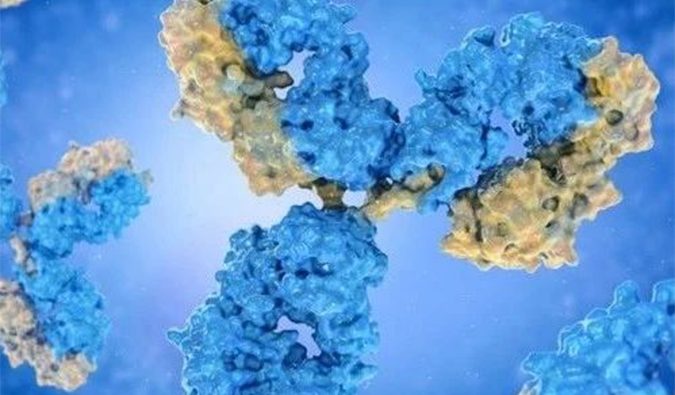 美研 | 双抗药物研发过程与市场远景深度解析