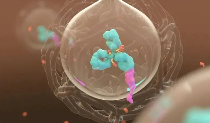 美研 | J9集团带您相识ADC奥妙之处