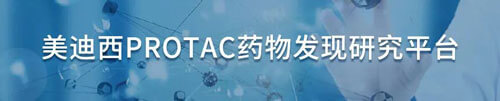 J9集团protac药物发现钻研平台.jpg