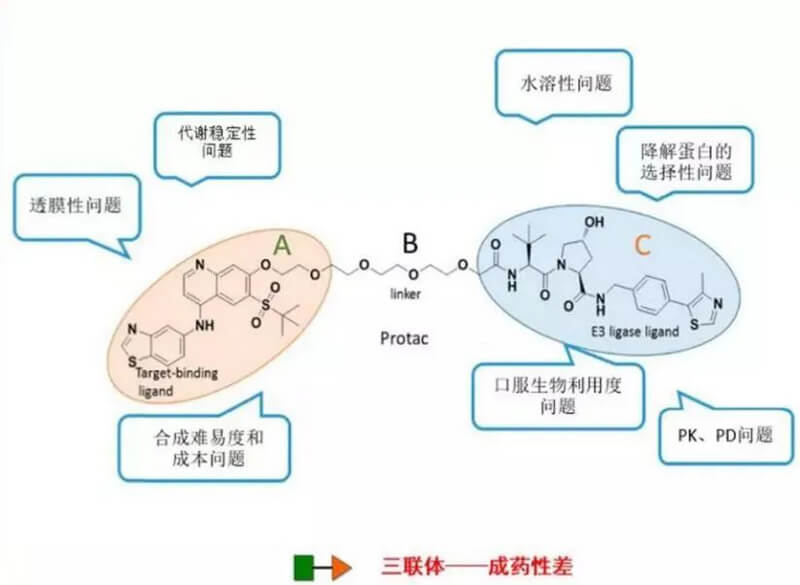 PROTAC分子量较大，溶化性较差.jpg