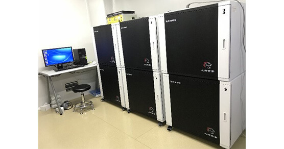 幼动物视频分析系统