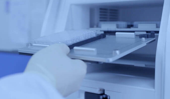 抗体发现钻延转—动物免疫与体表显示技术