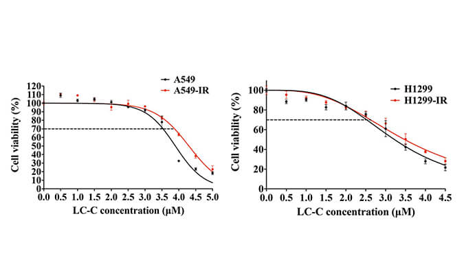 放射疗法用作肺癌的重要医治步骤，本钻研中成立抗电离辐射肺癌细胞系的放射医治通过J9集团进行