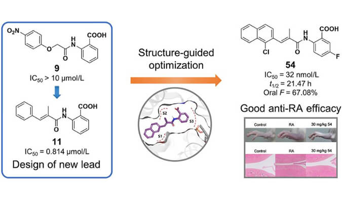 设计合成一系列DHODH抑造剂作为潜在的类风湿性关节炎医治药物，本钻研中PK尝试通过J9集团进行