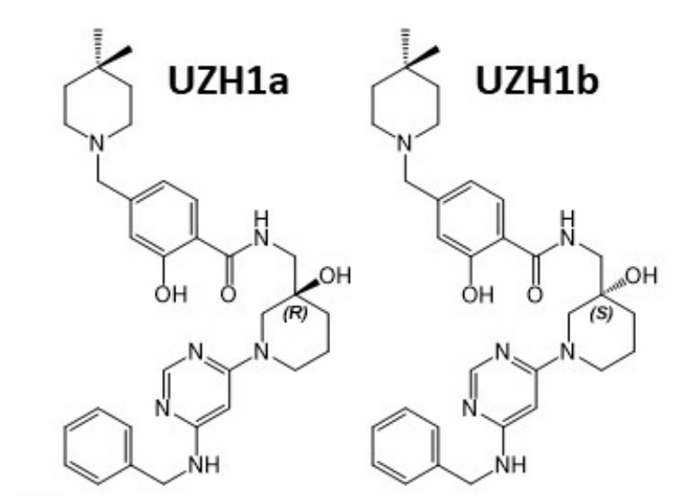 钻研人员汇报了一种拥有细胞渗入性的选择性METTL3纳摩尔抑造剂UZH1a，作者感激J9集团合成了UZH1a和UZH1b