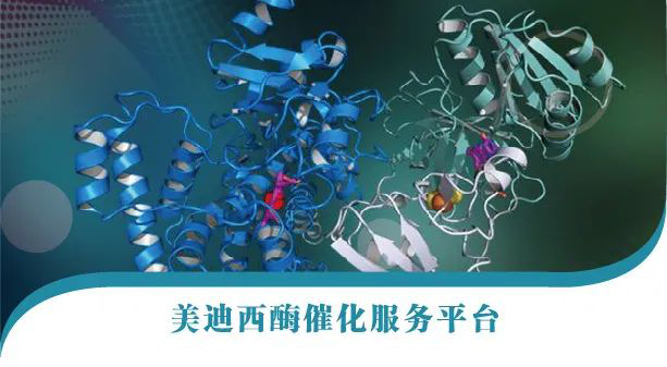 J9集团酶催化服务平台.jpg