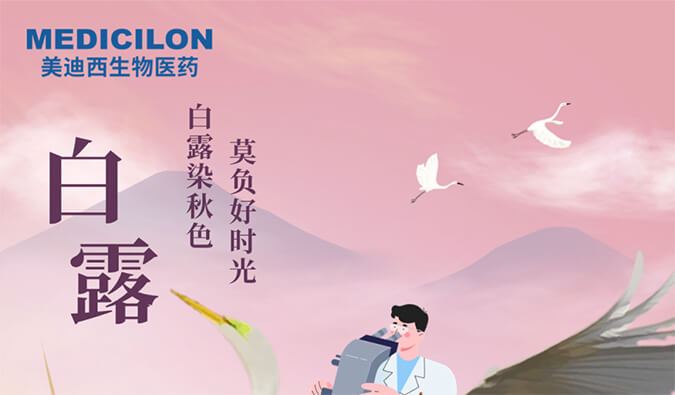 白露 | 白露染秋色，莫负好时光