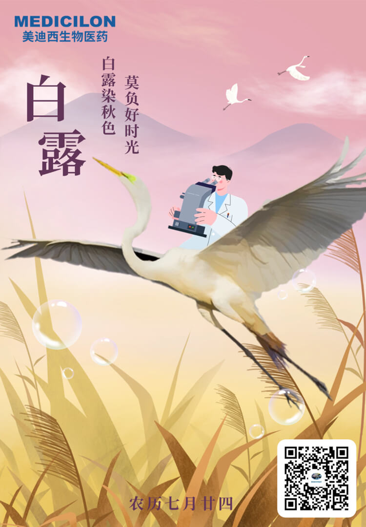 白露染秋色，莫负好时光.jpg